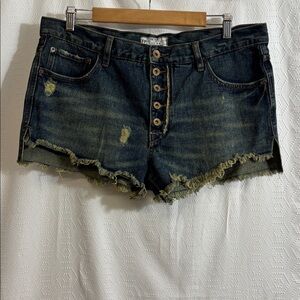 Free People Denim Jean Shorts Cut Off Size 30